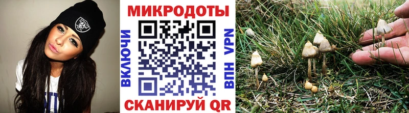 kraken рабочий сайт маркетплейс как зайти Няндома Галлюциногенные грибы ЛСД купить